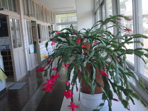 Cimg3358_2