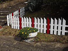 Dscf2079_2