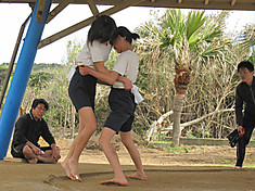 Jpg_3
