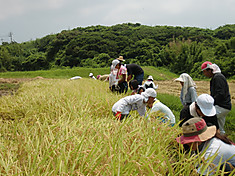 Cimg1046