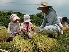 Cimg1056_2