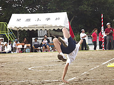 Dscf3096