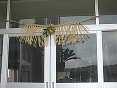 Cimg7214_2